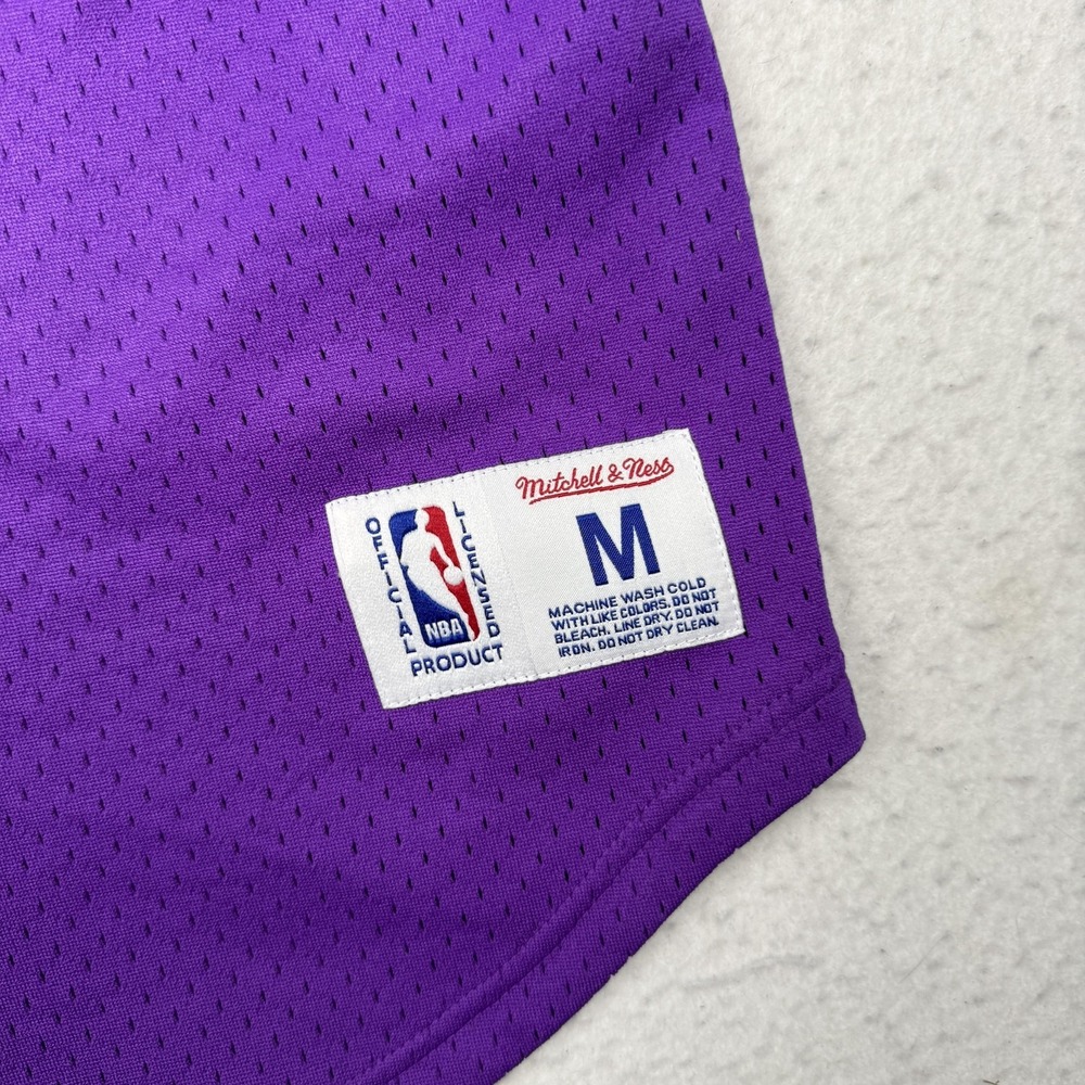 Toronto Raptors Jersey Mens Medium Purple NBA Basketball Mitchell & Ness Mesh - Picture 3 of 8